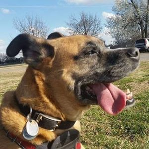 Meet your Posher, Jenny